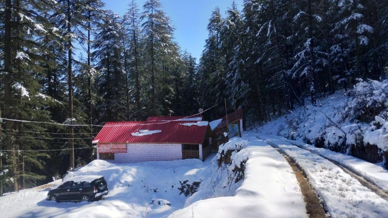 Matri Pitri Cottage Matiana Exterior photo